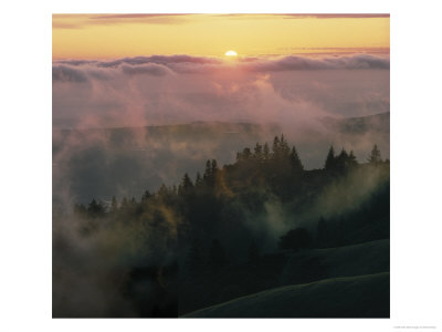 Mt. Tamalpais, Marin County, Ca by Steven Baratz Pricing Limited Edition Print image