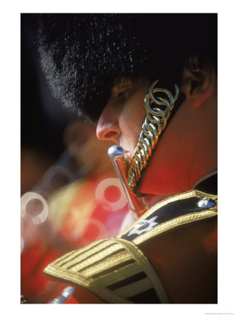 Changing Of The Guard, England, Uk by Peter Adams Pricing Limited Edition Print image