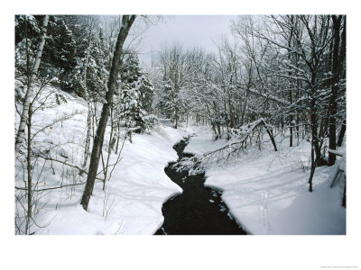 Winter View Taken At Camels Hump State Park by James P. Blair Pricing Limited Edition Print image