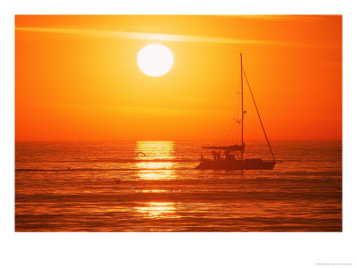 Boats In Harbor, Playa Del Rey, Ca by Harvey Schwartz Pricing Limited Edition Print image
