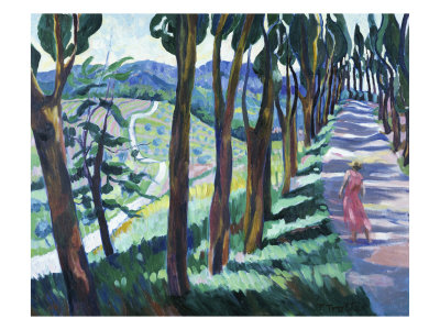Avenue, Tuscany by Josephine Trotter Pricing Limited Edition Print image