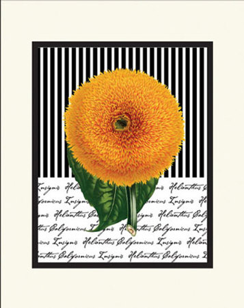 Sunflower With Stripes by Cynthia Hart Pricing Limited Edition Print image