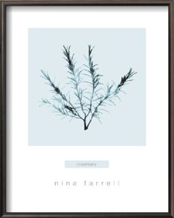 Rosemary by Nina Farrell Pricing Limited Edition Print image