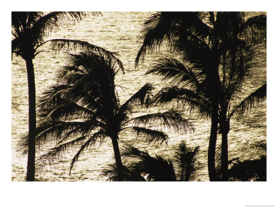 Palm Trees Silhouetted Against The Pacific Ocean by Paul Damien Pricing Limited Edition Print image
