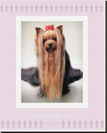 Style And Set by Rachael Hale Pricing Limited Edition Print image