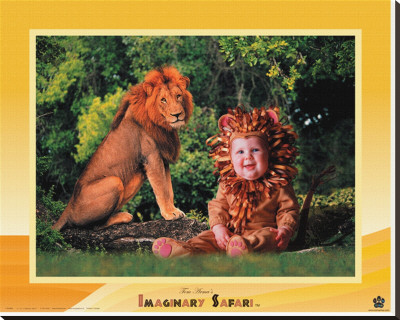 Lion by Tom Arma Pricing Limited Edition Print image