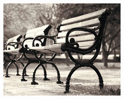 Three Benches by Mitch Ostapchuk Pricing Limited Edition Print image