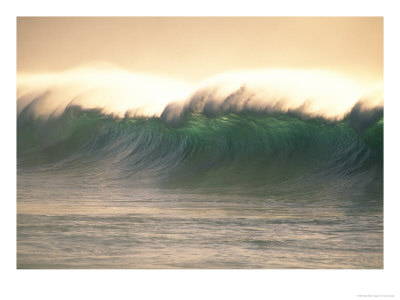 Wave Starting To Break, Hawaii by Vince Cavataio Pricing Limited Edition Print image