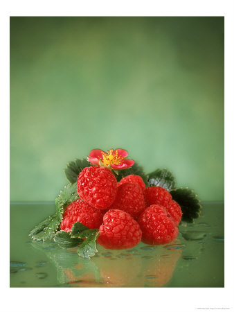 Raspberries by Sylvia Bissonnette Pricing Limited Edition Print image