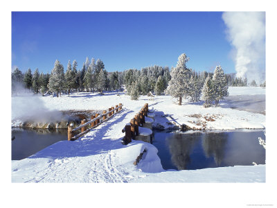 Hot Springs And Geysers, Yellowstone National Park, Wy by Erwin Nielsen Pricing Limited Edition Print image