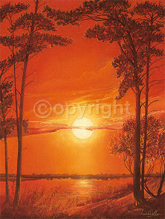 Sun Glow by Leon Wells Pricing Limited Edition Print image