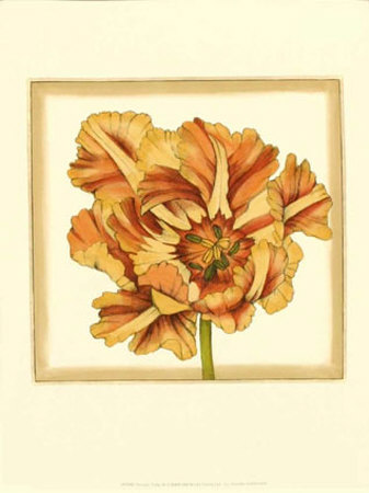 Sunset Tulip Iii by Jennifer Goldberger Pricing Limited Edition Print image