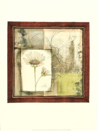 Pressed Flower Collage Iii by Jennifer Goldberger Pricing Limited Edition Print image