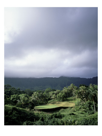 Luana Hills Country Club, Rainforest by Stephen Szurlej Pricing Limited Edition Print image