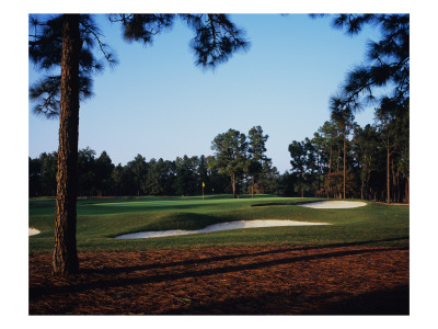 Pinehurst Golf Course No. 2 by Stephen Szurlej Pricing Limited Edition Print image
