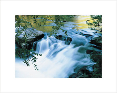 Babbling Brook by Pete Carmichael Pricing Limited Edition Print image