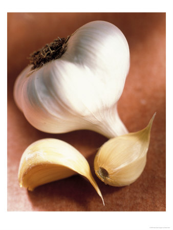 Garlic by Peter Ardito Pricing Limited Edition Print image