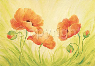 Fun Poppies by Susanne Bach Pricing Limited Edition Print image
