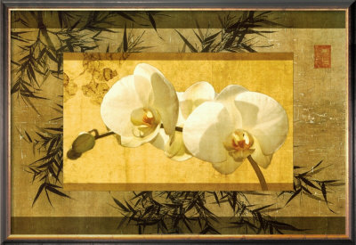 Bamboo And Orchids I by Ives Mccoll Pricing Limited Edition Print image