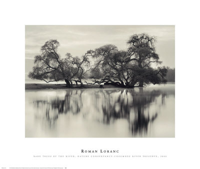 Bare Trees By The River, Nature Conservancy, Cosumnes River Preserve, 2000 by Roman Loranc Pricing Limited Edition Print image