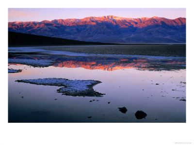 Telescope Peak At Dawn Reflected In Saline Water On Slat Flats, Death Valley National Park, U.S.A. by Ruth Eastham Pricing Limited Edition Print image