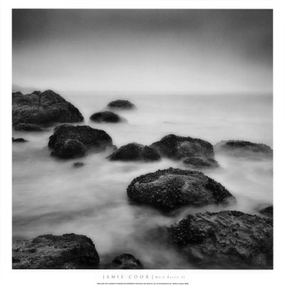 Muir Beach Ii by Jamie Cook Pricing Limited Edition Print image