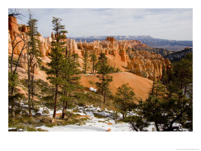 A View Into The Bryce Canyon Amphitheater, Bryce Canyon National Park, Utah by Taylor S. Kennedy Pricing Limited Edition Print image