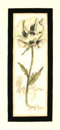 Neutral Poppy Study Ii by Jennifer Goldberger Pricing Limited Edition Print image