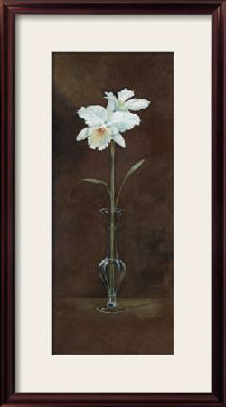 Beauty Of Orchids Ii by Ruane Manning Pricing Limited Edition Print image