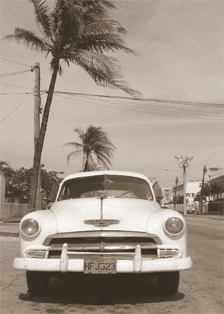 White Car And Palm Tree by Nelson Figueredo Pricing Limited Edition Print image