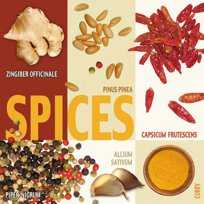 Spice Collage by Ute Nuhn Pricing Limited Edition Print image