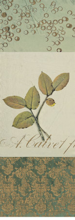 Portrait Of Nature I by Aviva Stanoff Pricing Limited Edition Print image