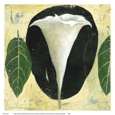 Datura by Nicholas Wilton Pricing Limited Edition Print image