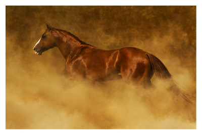 Out Of The Dust by Robert Dawson Pricing Limited Edition Print image