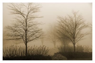 Foggy Walk by Heather Johnston Pricing Limited Edition Print image