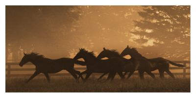 Running For Home I by Robert Dawson Pricing Limited Edition Print image