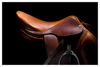 English Saddle I by Robert Dawson Pricing Limited Edition Print image