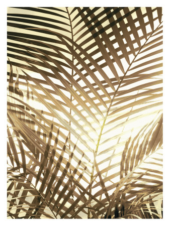 Areca Sepia Palm Ii by Trulee Jameson Pricing Limited Edition Print image