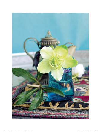 Ethnic Tea Ii by Amelie Vuillon Pricing Limited Edition Print image