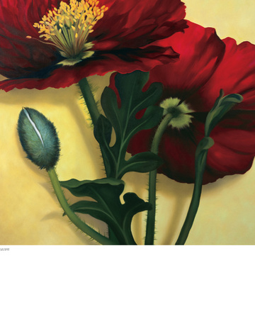 Poppies by Rachel Deacon Pricing Limited Edition Print image