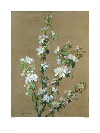 Apple Blossom by Jean Benner Pricing Limited Edition Print image
