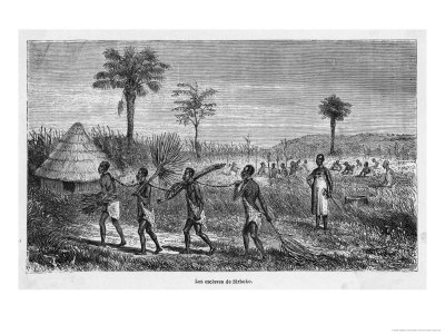 Central Africa Slave Gang Encountered By Speke And Grant During Their Travels by Speke & Grant Pricing Limited Edition Print image