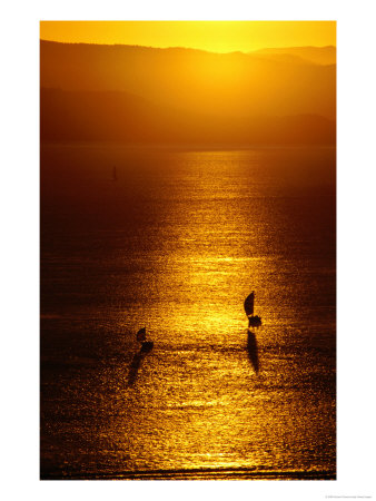 Boats At Sunset, Whitsunday Islands National Park, Australia by Richard I'anson Pricing Limited Edition Print image