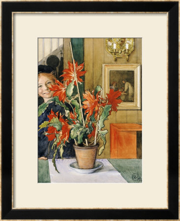 Brita's Cactus, 1904 by Carl Larsson Pricing Limited Edition Print image