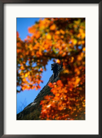 Old Man Of The Mt. And Fall Foliage, Nh by Kindra Clineff Pricing Limited Edition Print image