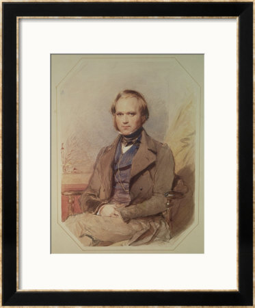 Portrait Of Charles Darwin (1809-82), 1840 by George Richmond Pricing Limited Edition Print image