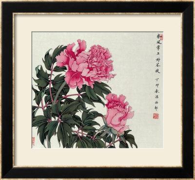Peonies In Spring by Hsi-Tsun Chang Pricing Limited Edition Print image