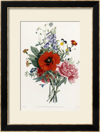 Collection Des Fleurs Et Des Fruits, 1805 by Jean Louis Prevost Pricing Limited Edition Print image