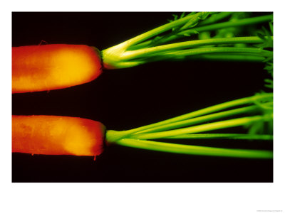 Carrots by Fogstock Llc Pricing Limited Edition Print image