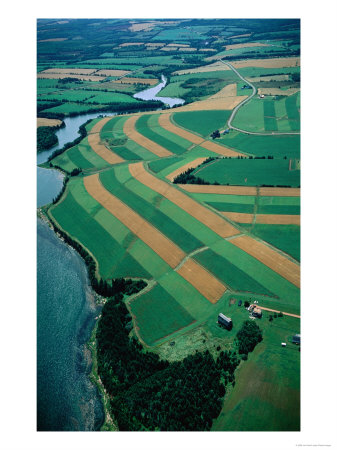 Aerial Of Farm, Fields And River, Hope River, Canada by Jim Wark Pricing Limited Edition Print image
